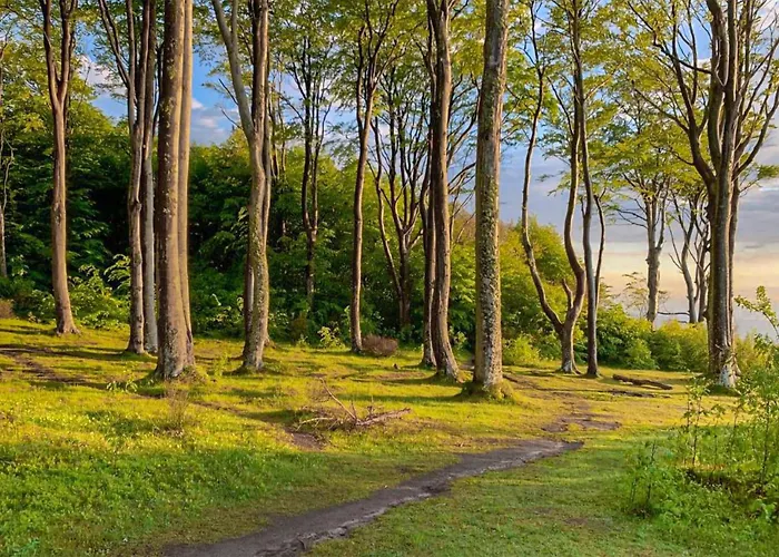 Gorgeous In Debina With Wifi * Debina (Ustka)